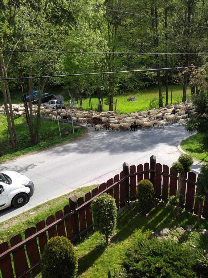 Noclegi Przy Szlaku Agroturystyka Zabnica Luaran gambar