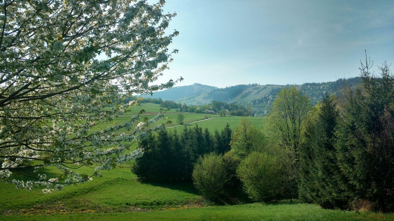 Noclegi Przy Szlaku Agroturystyka Zabnica Luaran gambar