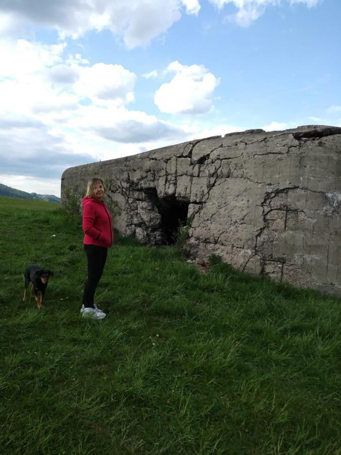 Noclegi Przy Szlaku Agroturystyka Zabnica Luaran gambar
