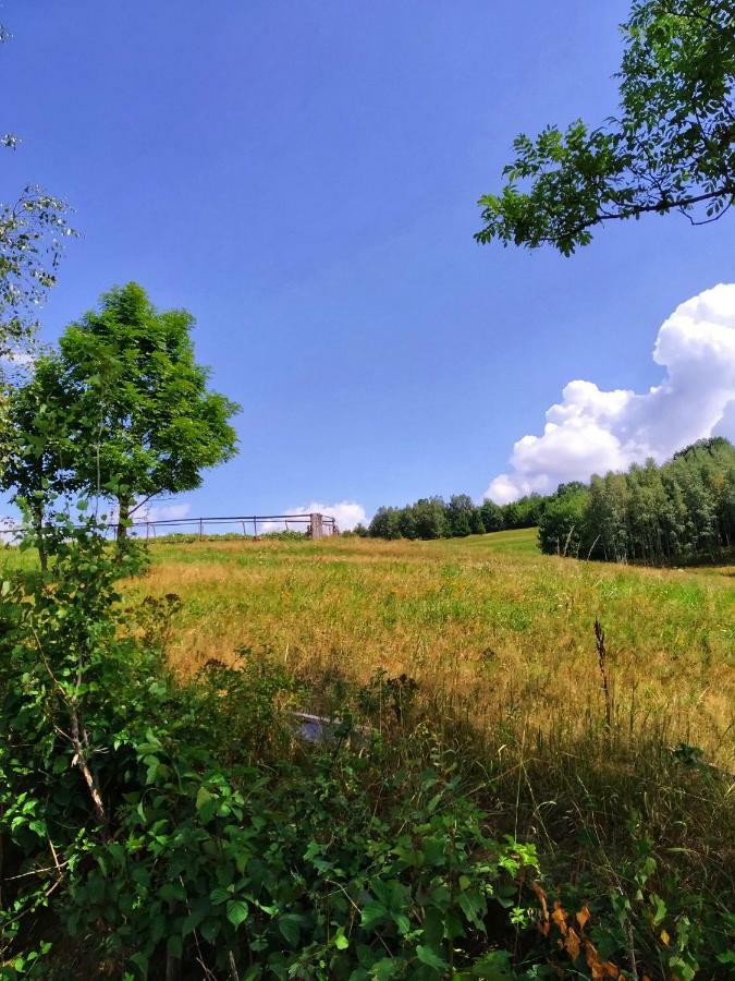 Noclegi Przy Szlaku Agroturystyka Zabnica Luaran gambar