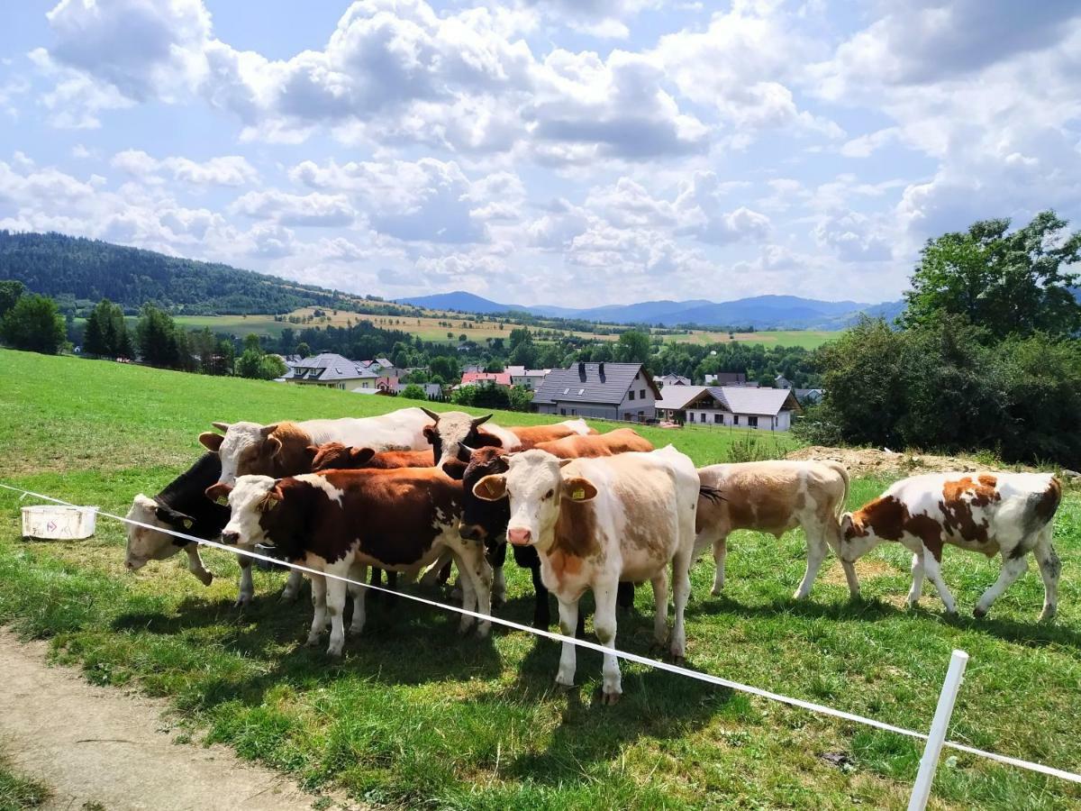 Noclegi Przy Szlaku Agroturystyka Zabnica Luaran gambar