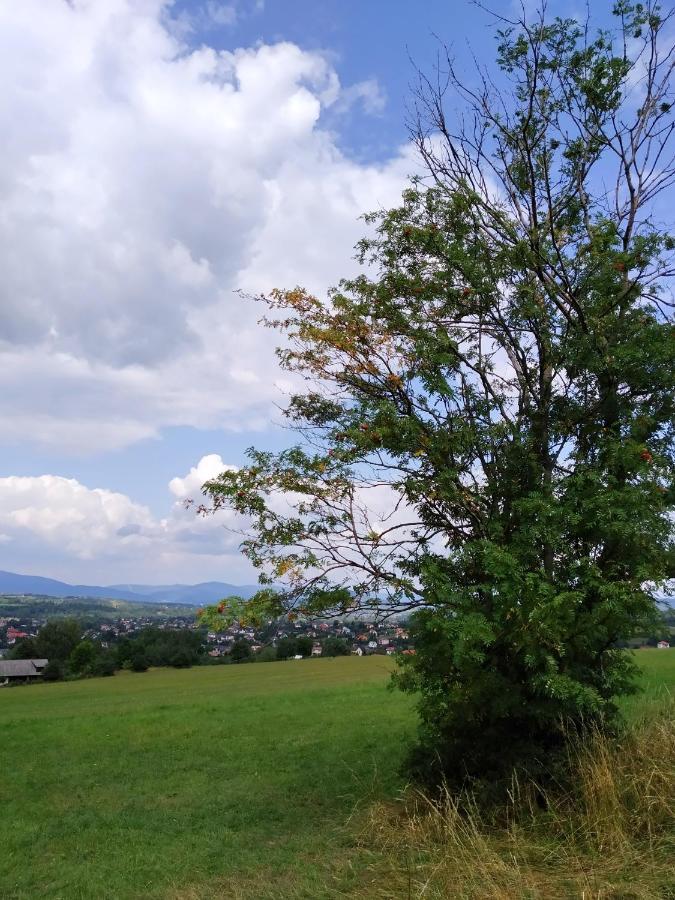Noclegi Przy Szlaku Agroturystyka Zabnica Luaran gambar